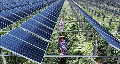 广东珠海：加快太阳能、风能等在农用生产和农村建筑中的利用